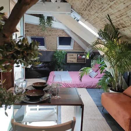 La Cachette Sous Les Toits Balneo Climatise Nantes