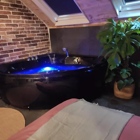 La Cachette Sous Les Toits Balneo Climatise Apartment Nantes
